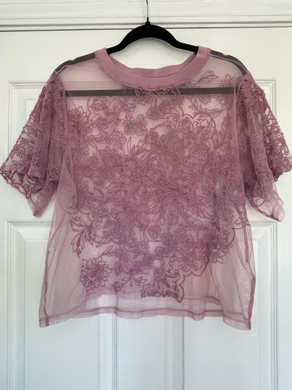 Anthropologie Dusty Rose Sheer Floral Embroidered Short Sleeve Top